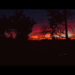 Meet your Posher, Sofia